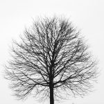 Information to Include for a Perfect Portfolio