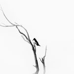 11 Unusual Sources for Writing Inspiration